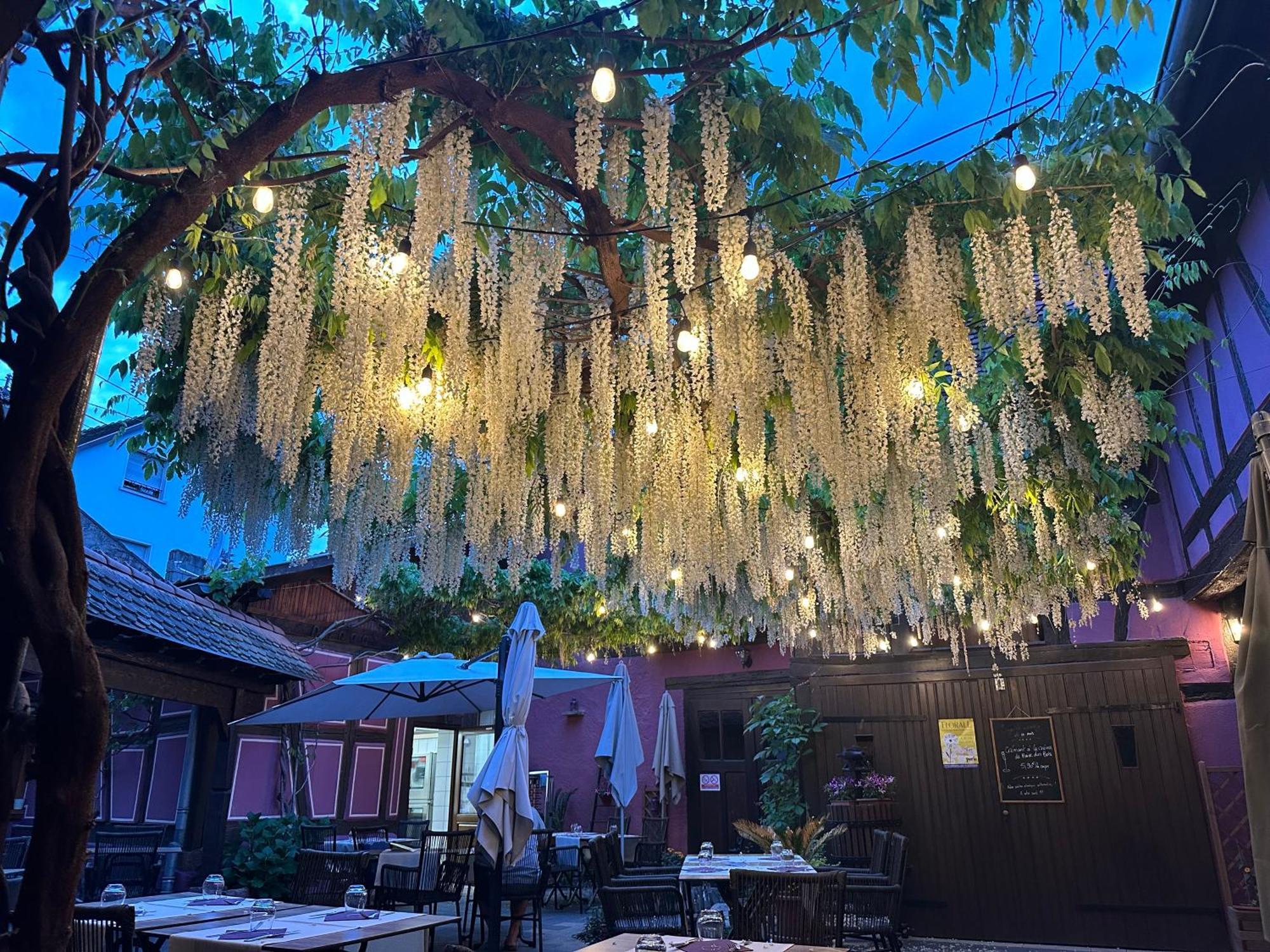 Auberge Le Meisenberg Châtenois Kültér fotó