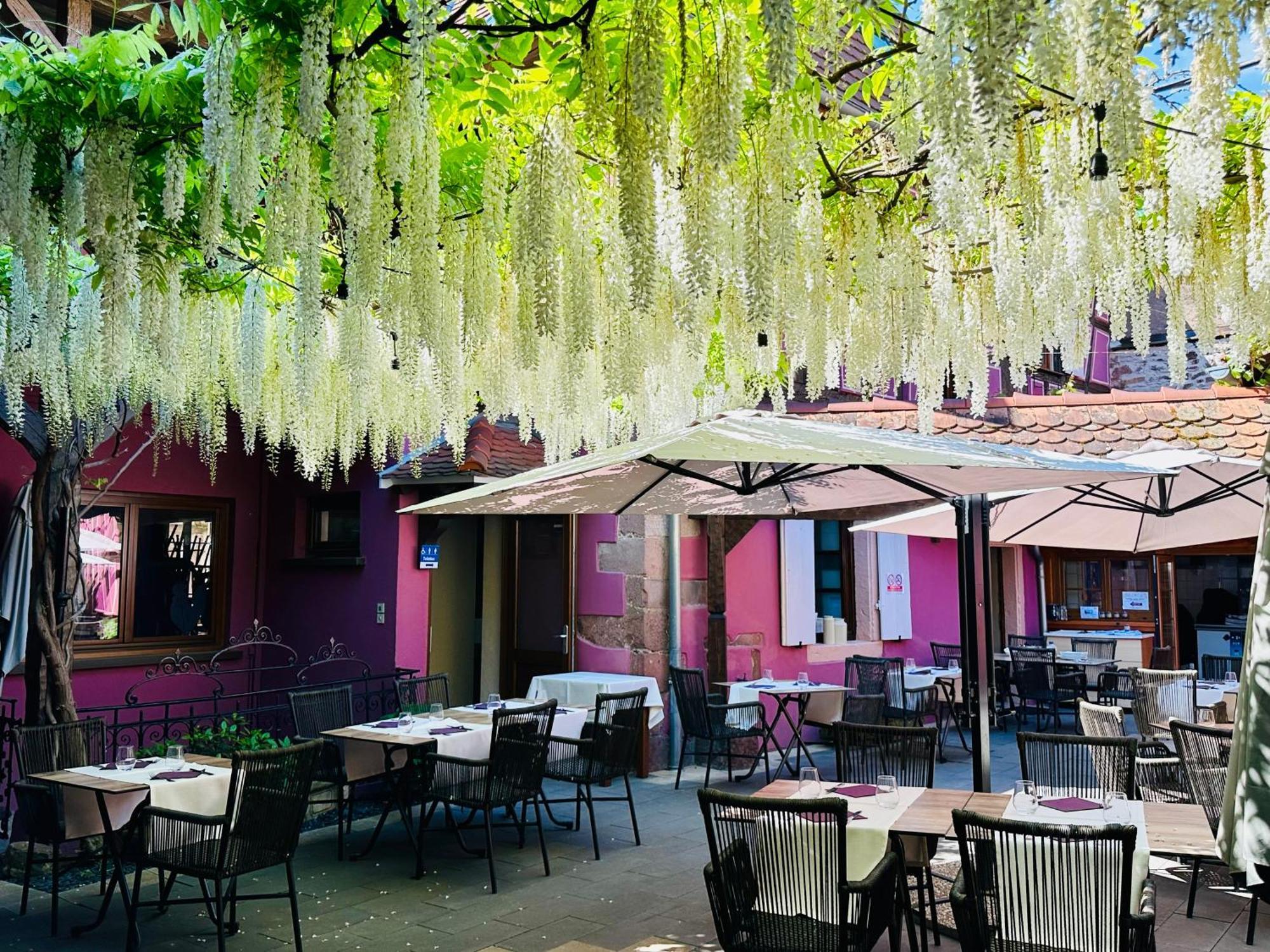 Auberge Le Meisenberg Châtenois Kültér fotó