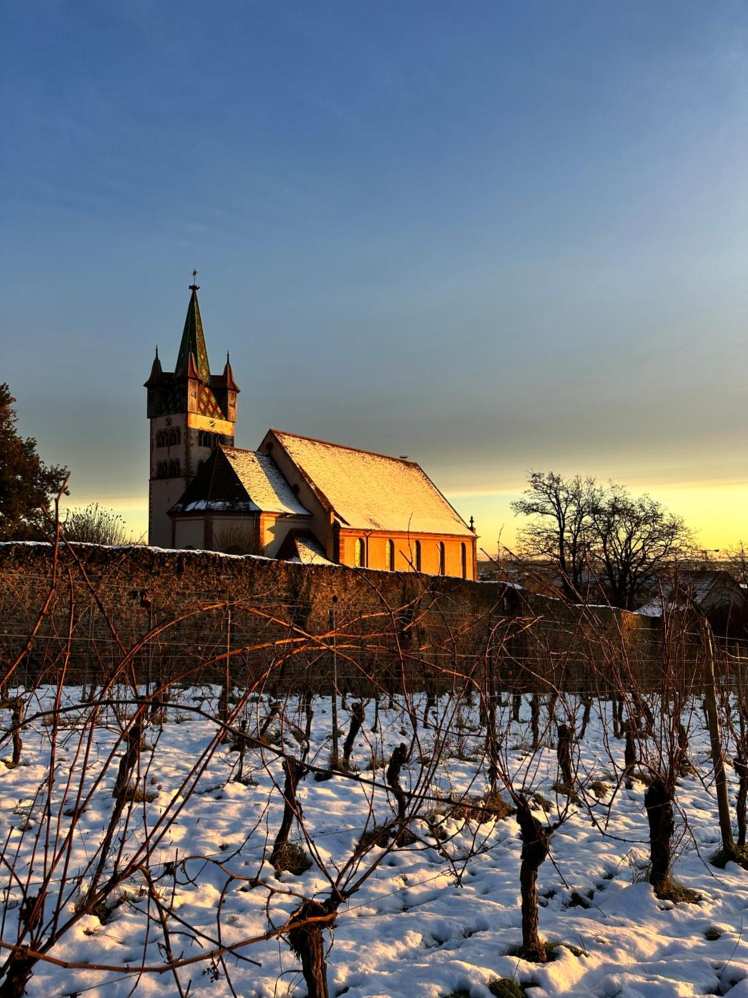 Auberge Le Meisenberg Châtenois Kültér fotó