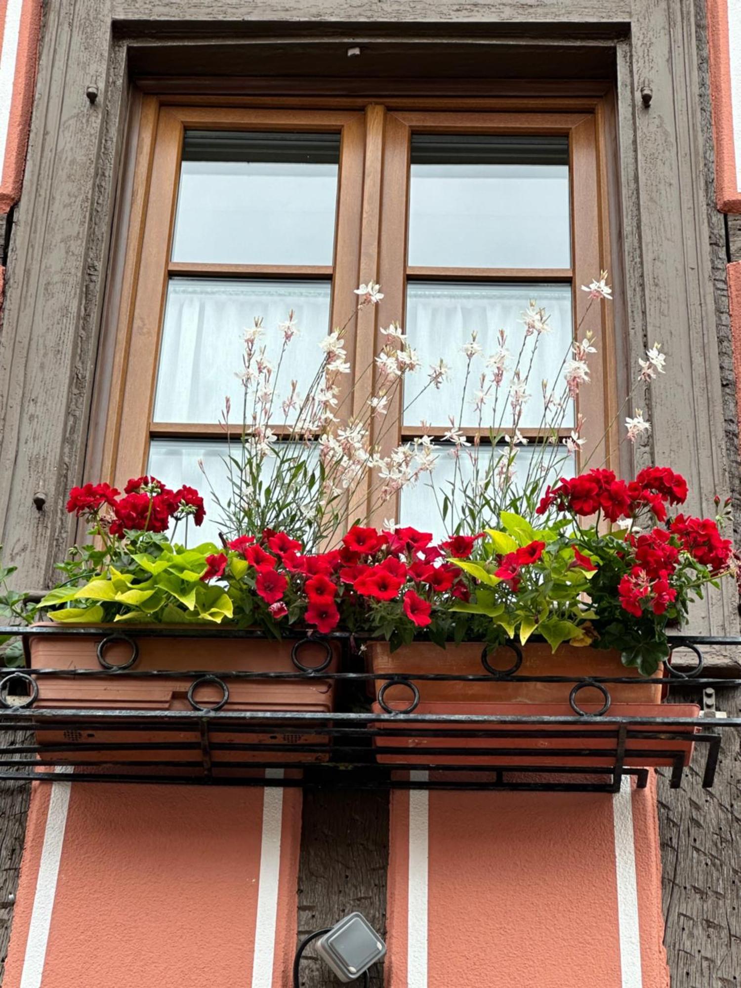 Auberge Le Meisenberg Châtenois Kültér fotó