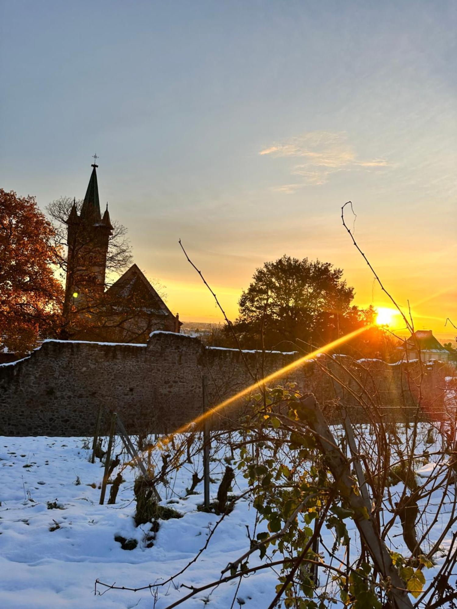 Auberge Le Meisenberg Châtenois Kültér fotó