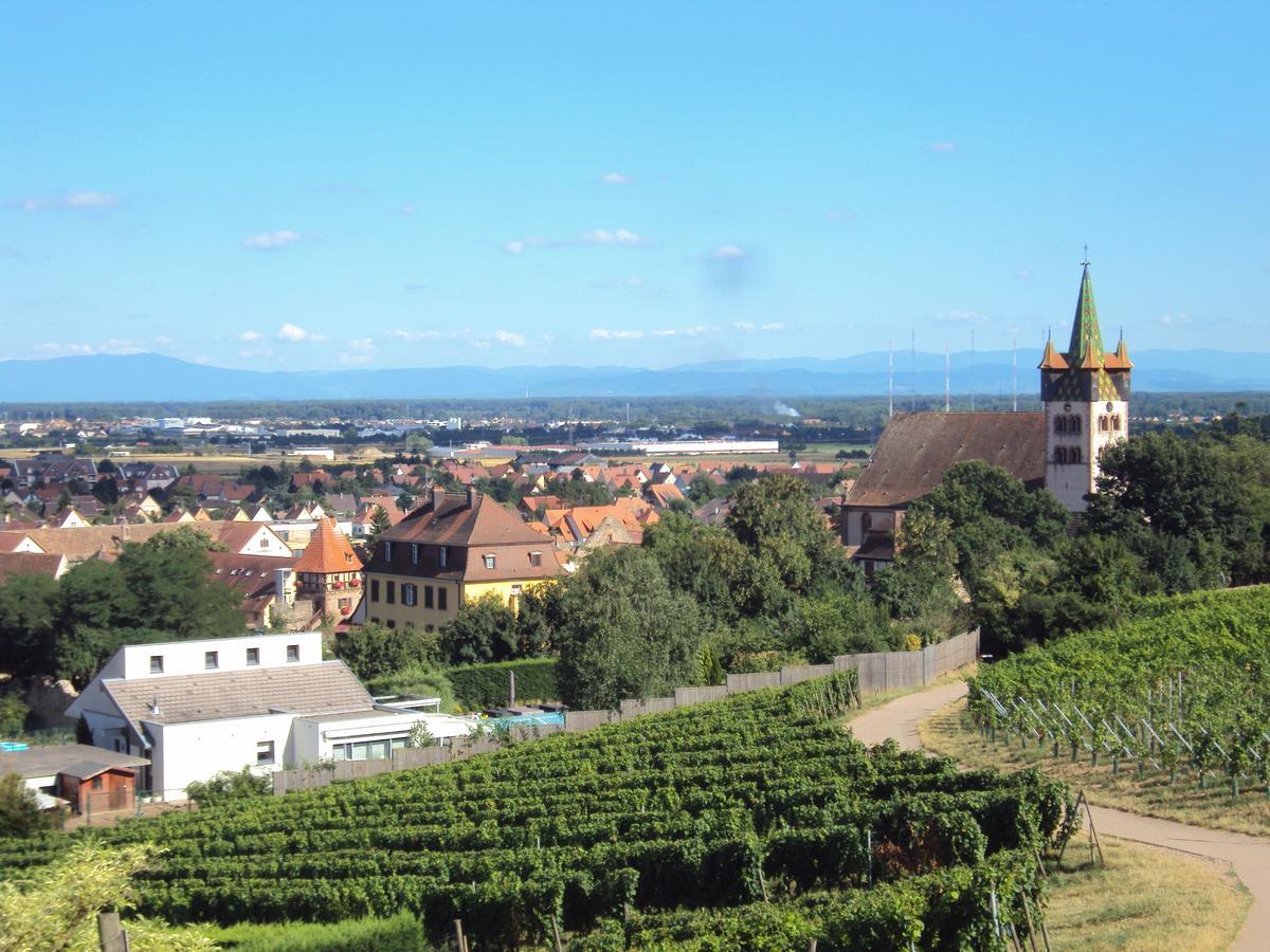 Auberge Le Meisenberg Hotel Châtenois Kültér fotó